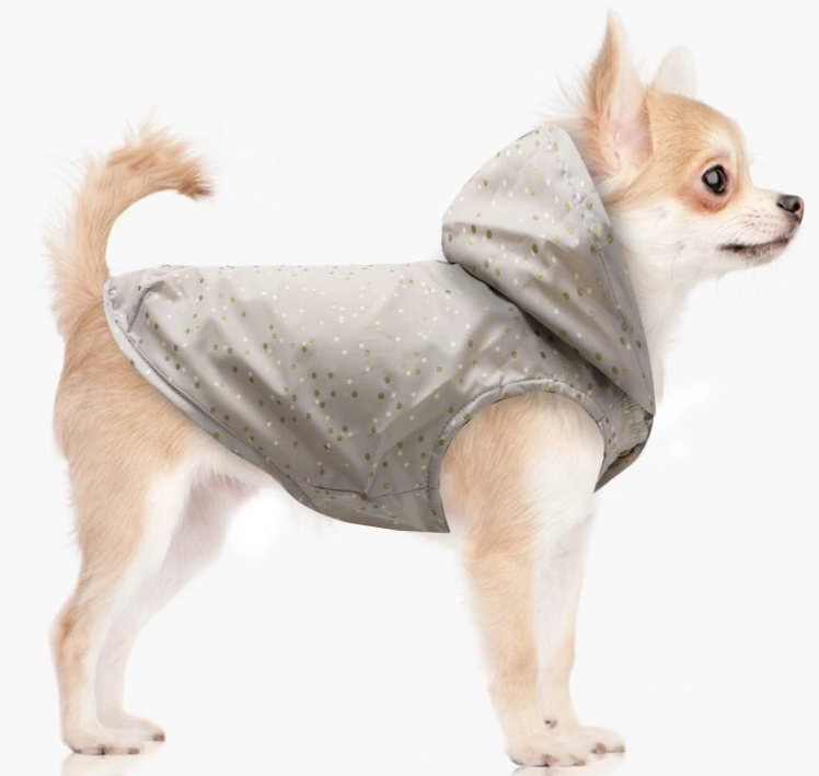 5537-2_mp1834-adele-dog